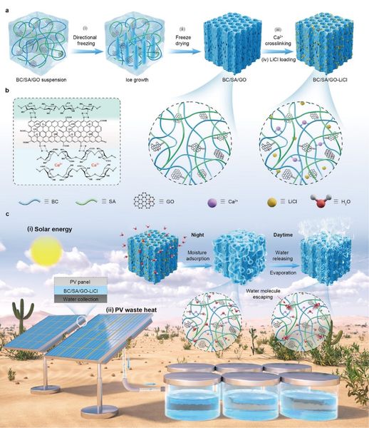 Water Harvesting and Passive Cooling Enabled by Hygroscopic Biopolymer-Based Aerogels