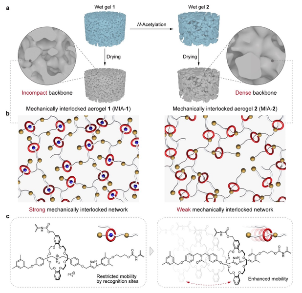 Mechanically Interlocked Rotaxane Aerogels with Tunable Morphologies and Mechanical Properties