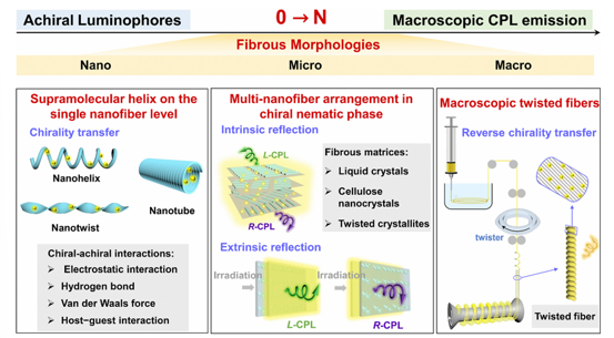 From 0 to N: Circularly Polarized Luminescence Generation from Achiral Luminophores in Fibrous Morphologies