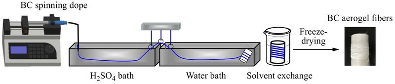  Continuous Bacterial Cellulose Aerogel Fibers with High Strength