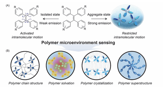 Molecular Motions in Polymer Matrix for Microenvironment Sensing