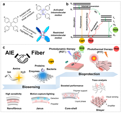 Fibrous aggregates: Amplifying aggregation-induced emission to boost health protection