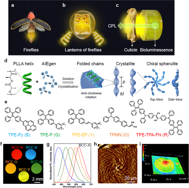  Enantiomeric Switching of the Circularly Polarized Luminescence Processes in a Hierarchical Biomimetic System by Film Tilting