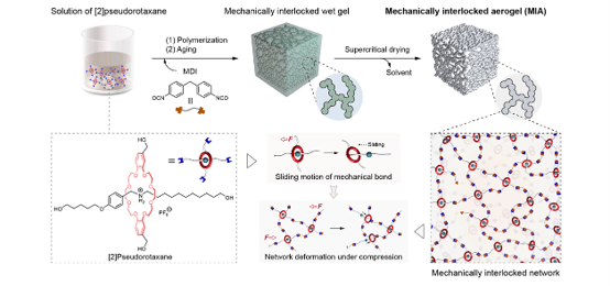Mechanically Interlocked Aerogels with Densely Rotaxanated Backbones