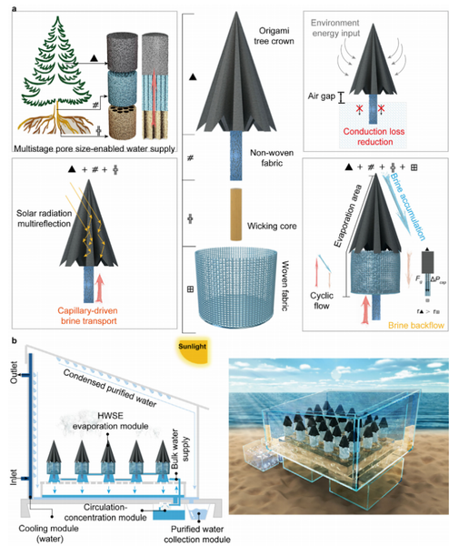 Hydrophilic Wicking-Induced Cyclic Flow for Highly Efficient and Salt-Resistant Interfacial Solar Vapor Generator