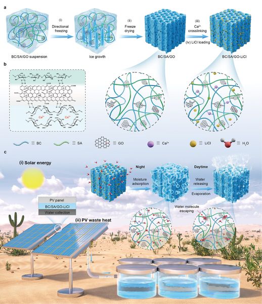 Tandem Atmospheric Water Harvesting and Passive Cooling Enabled by Hygroscopic Biopolymer-Based Aerogels