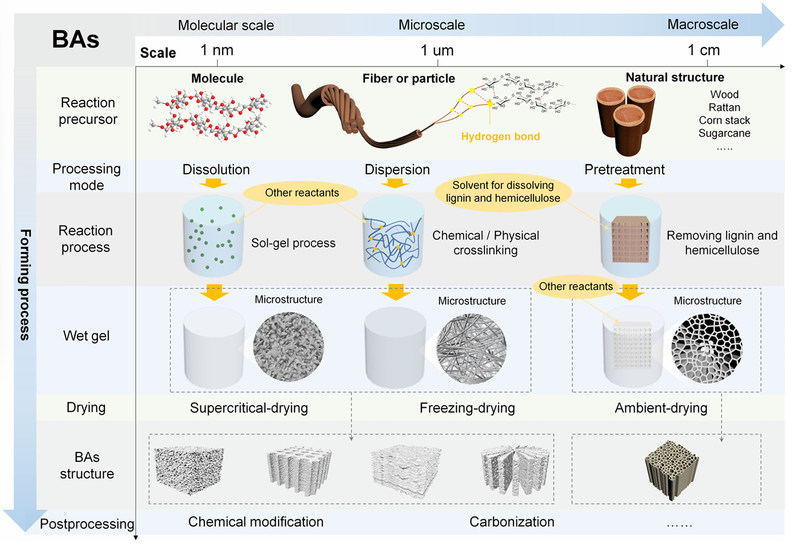 Renewable Biomass-based Aerogels: from Structural Design to Functional Regulation