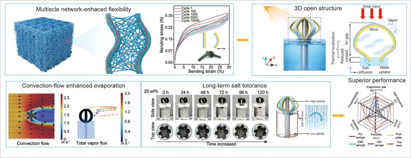 Lantern-shaped Nano-microfibrous Aerogel Enabling Convection-enhanced Interfacial Solar Vapor Generation